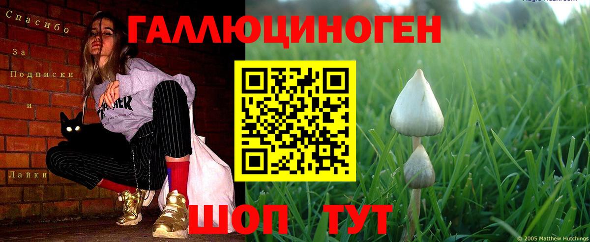 Псилоцибиновые грибы мухоморы Долгопрудный