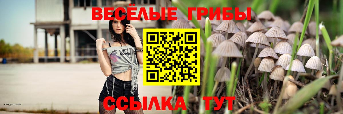 Псилоцибиновые грибы MAGIC MUSHROOMS  Вход с VPN  Долгопрудный 